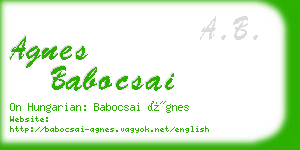 agnes babocsai business card